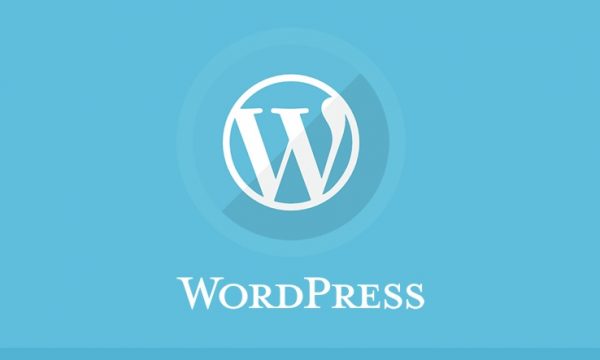 WordPress Professional