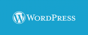 WordPress Custom Typer