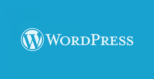 WordPress Custom Typer