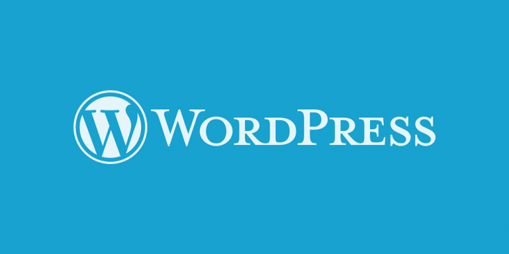WordPress Custom Typer