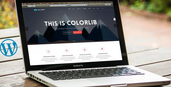 WordPressTheme