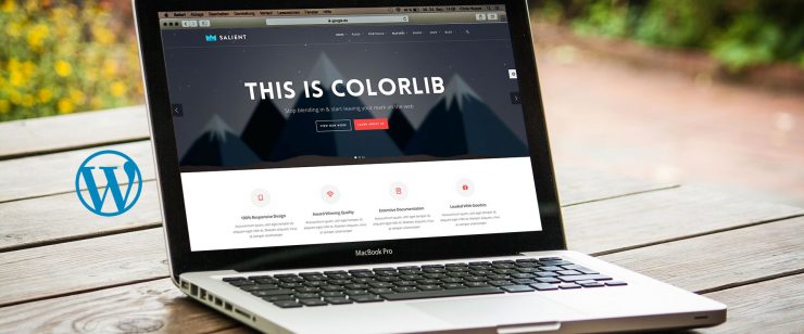 WordPressTheme