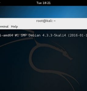 kali linux