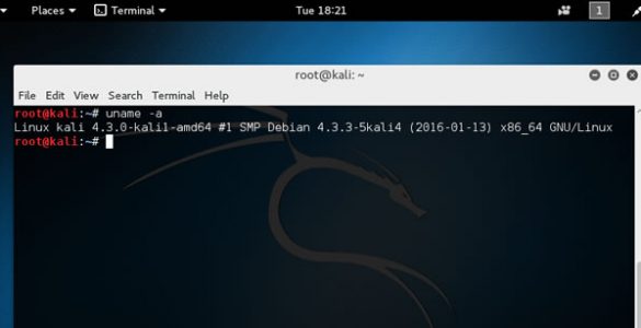 kali linux