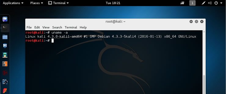 kali linux