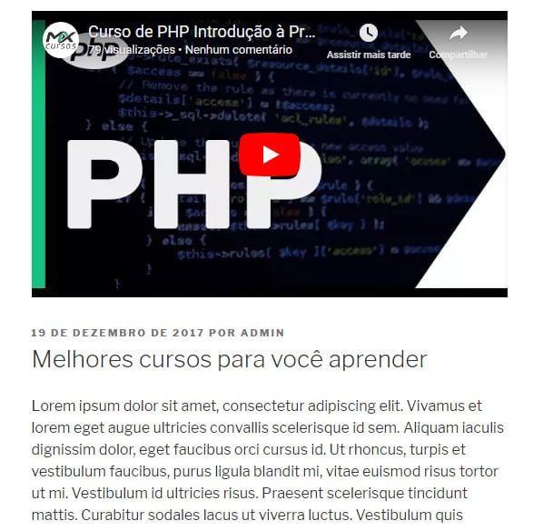 Exemplos do campo personalizado sendo exibido no site