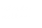 seta